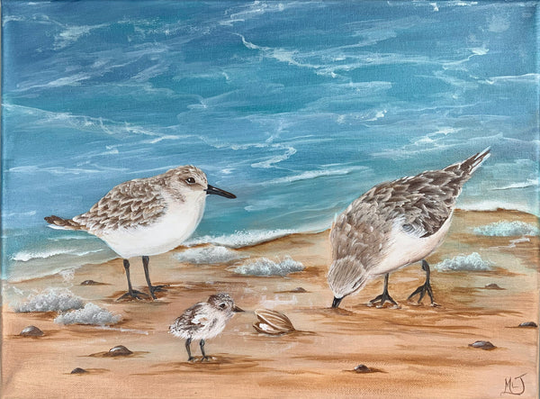 Video - Sandpipers