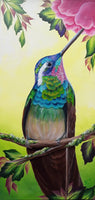 Video - Hummingbird
