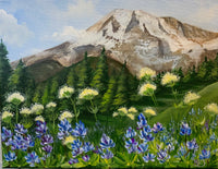 Video - Mt. Rainier With Wildflowers