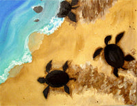 Video - Sea Turtles