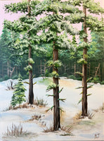 Video - Snowy Pines Landscape