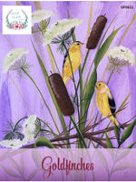 Project - Goldfinches